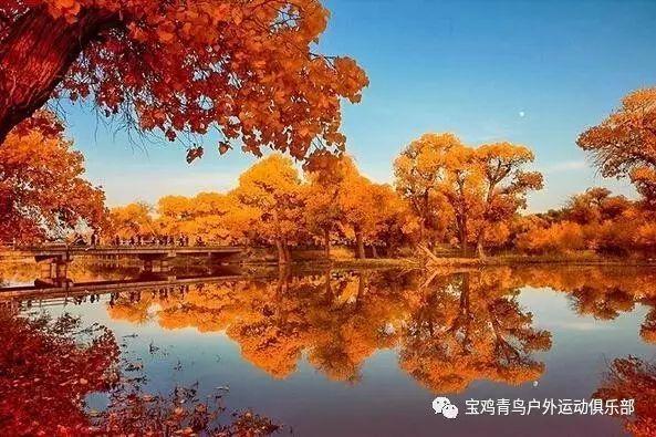 精准的神枪手